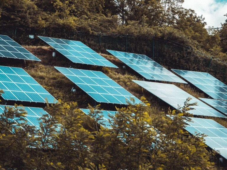 Vista panorâmica de placas solares alinhadas em uma paisagem verdejante. Energia sustentável e eficiência ambiental na harmonia das células fotovoltaicas.